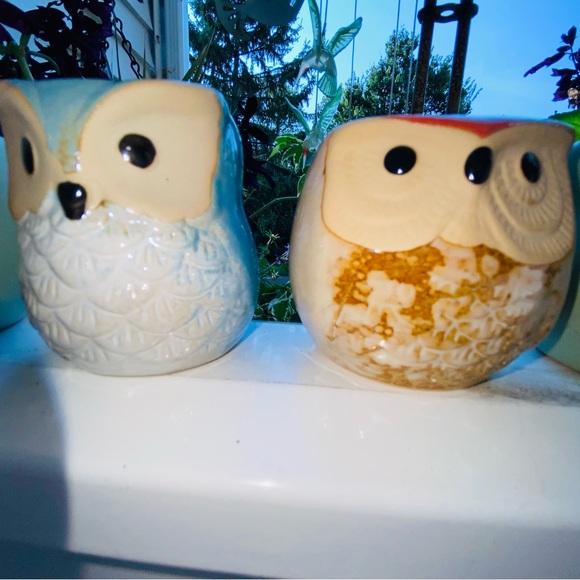 3 Brand New Mini Owl🦉Planters, Great for Mini Live or Faux Succulents or Whatev - Picture 11 of 16